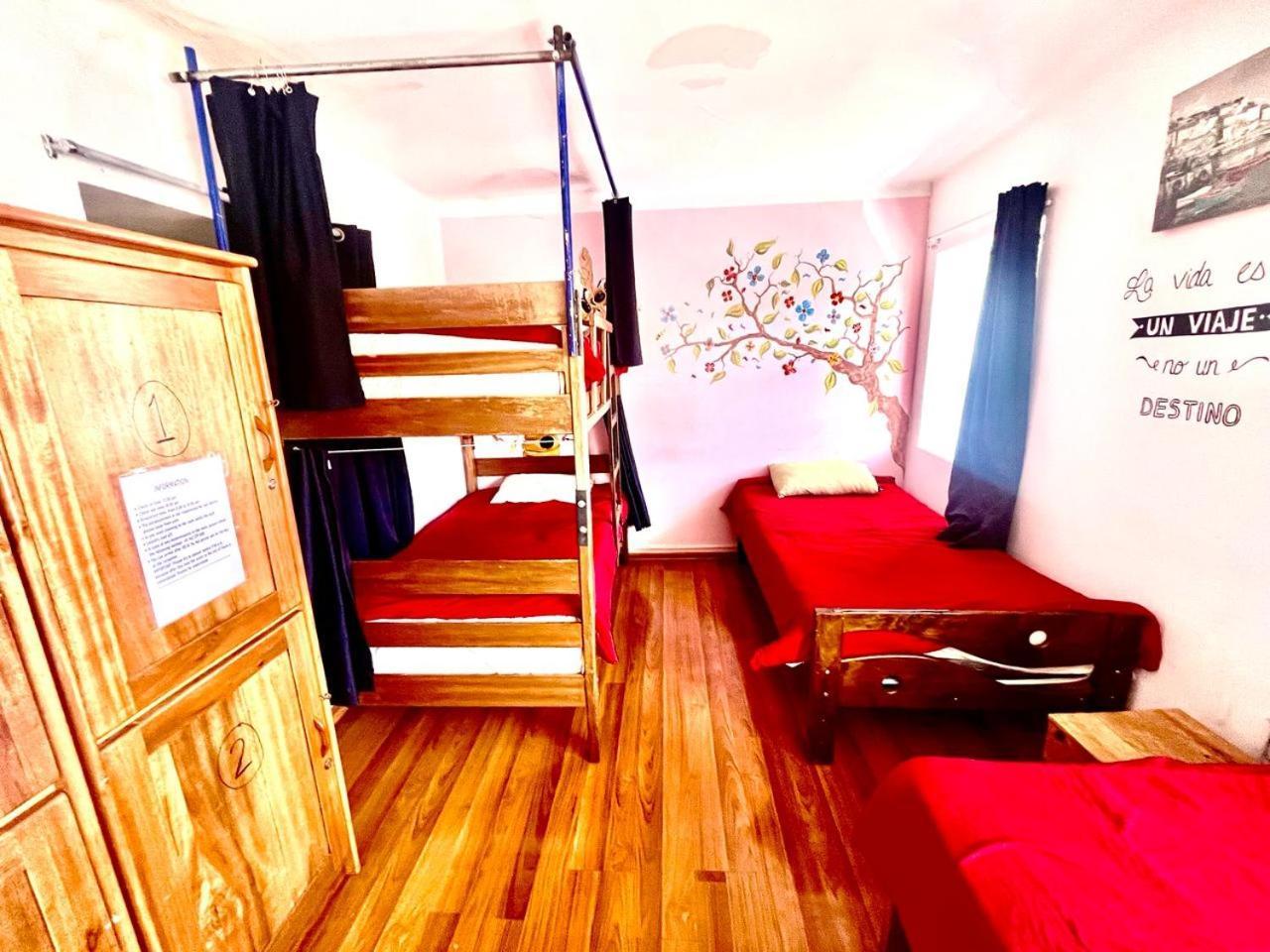 Cusco House Inn Hostel エクステリア 写真