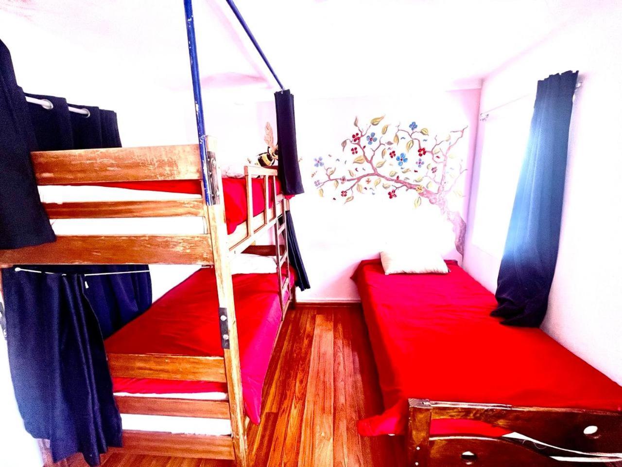 Cusco House Inn Hostel エクステリア 写真